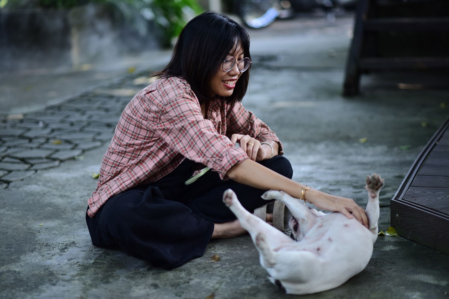 Khách hàng thân thiết bên thú cưng